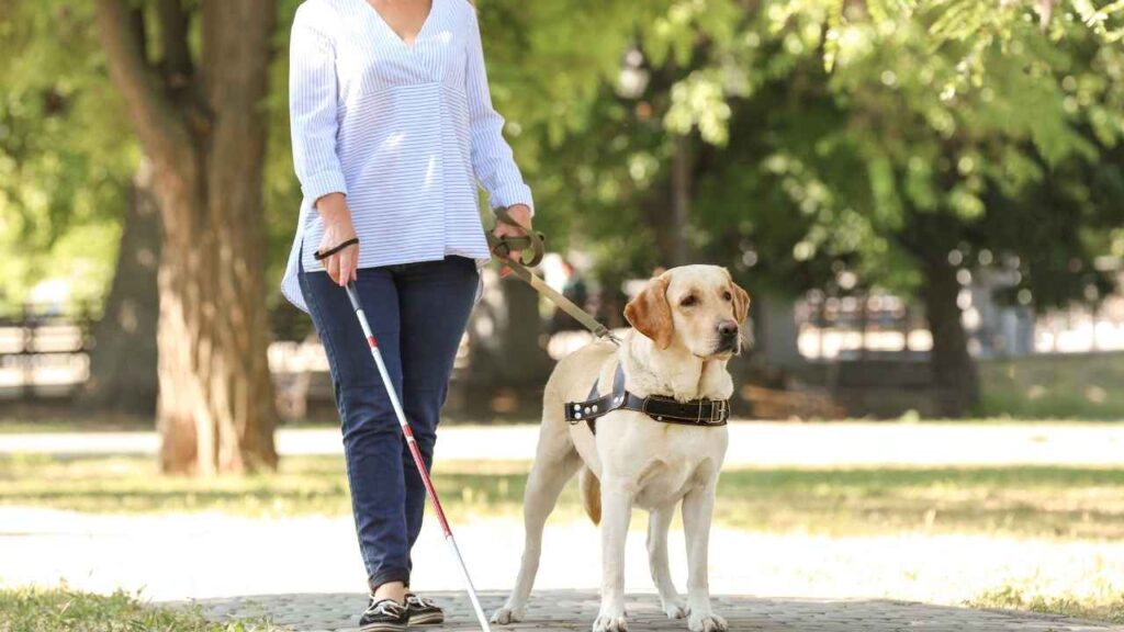 SSI payments are for blind and disabled Americans