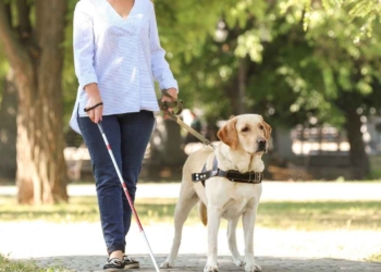 SSI payments are for blind and disabled Americans