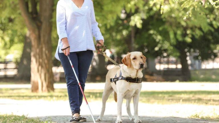SSI payments are for blind and disabled Americans