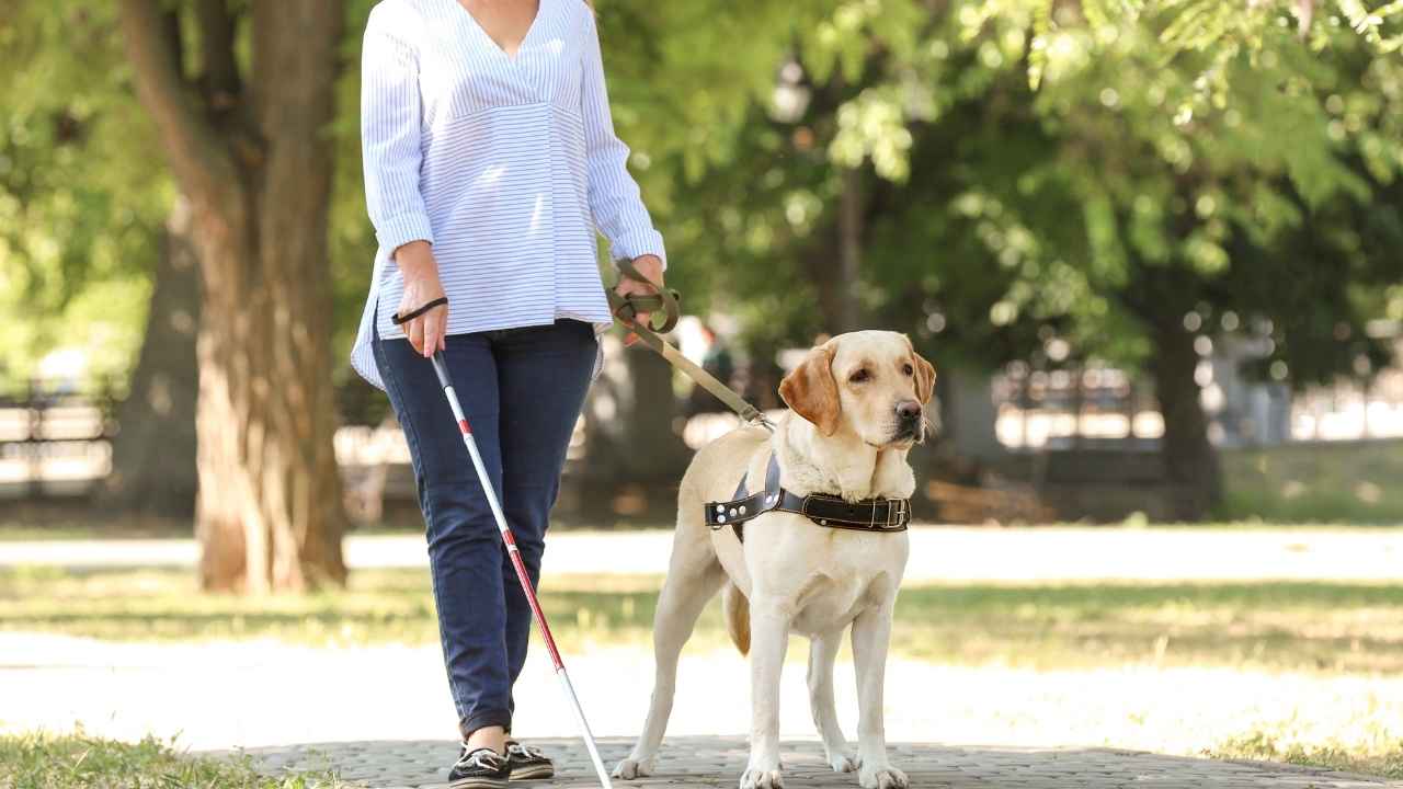 The final disability payments of April are scheduled to go out this week