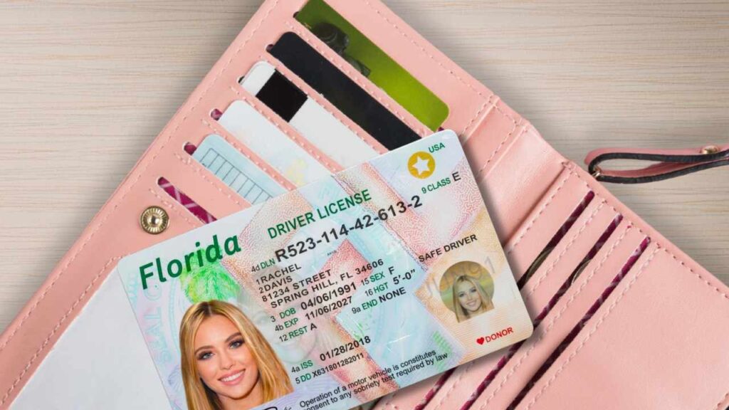 That Florida license change that can stop your mail vote in 2026