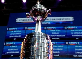 Los clasificados que ya tiene la Copa Libertadores 2019