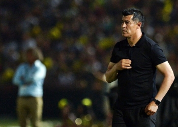 3 razones por las que el hincha verdolaga nunca se olvidará de Jorge Almirón