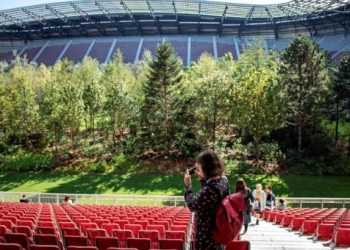 ¡Reemplazaron el campo de fútbol en el estadio por un bosque!