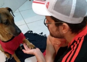 Hincha del Flamengo rifa boleta de semis en Copa Libertadores para salvar la vida de su perro