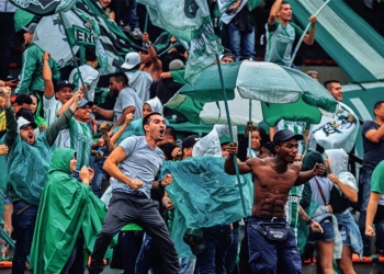 Los del Sur, Atlético Nacional