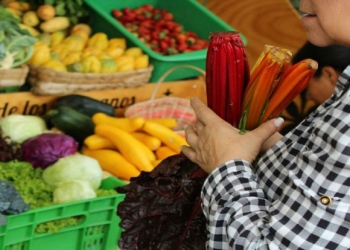 ¿Cómo hacer mercado y demás compras en época de coronavirus?