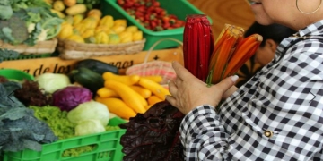 ¿Cómo hacer mercado y demás compras en época de coronavirus?