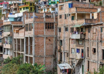 Qué debe llenar en el formulario de consulta Ingreso Solidario DNP