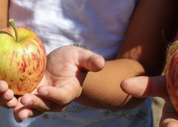 Bono de refrigerio escolar en Bogotá también en mayo