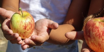 Bono de refrigerio escolar en Bogotá también en mayo