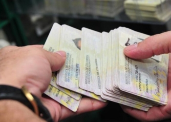 Ingreso Solidario: ¿Apareció su cédula en la consulta del DNP con otro nombre?