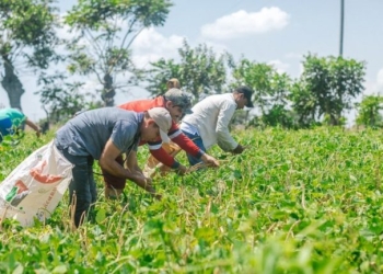 Coronavirus: ¿Hay comida suficiente para abastecer a Colombia?