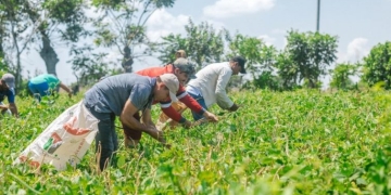 Coronavirus: ¿Hay comida suficiente para abastecer a Colombia?
