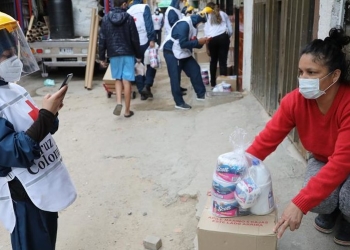 Link de consulta en el DNP para saber si tiene Ingreso Solidario