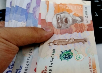 Cómo resolver las dudas que tiene sobre el Ingreso Solidario