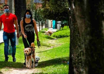 ¿Qué pasará con el pico y cédula de Bogotá en agosto y septiembre?
