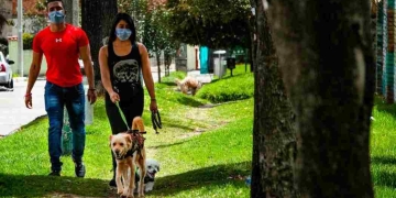 ¿Qué pasará con el pico y cédula de Bogotá en agosto y septiembre?