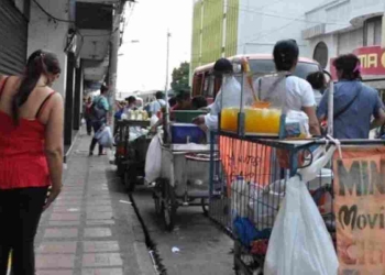 Web oficial del Ingreso Solidario: ¿DNP o Prosperidadsocial.gov.co?