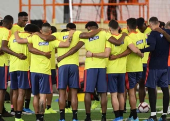 Davinson Sánchez no se unirá, todavía, con la Selección Colombia