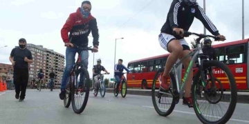 Ingreso Solidario: ¿No aparece en la consulta con la cédula de los listados?