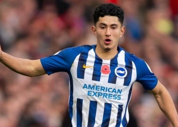 Los elogios del DT del Brighton para Steven Alzate