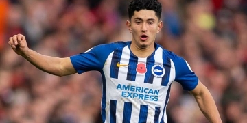 Los elogios del DT del Brighton para Steven Alzate