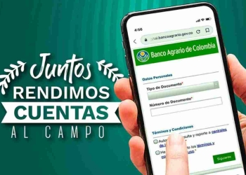 Única página del Banco Agrario para consultar el Ingreso Solidario