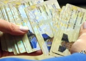 Cómo consultar con la cédula pagos del Ingreso Solidario