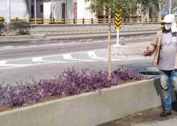Ingreso Solidario: ¿Quiénes y cuándo reciben el pago este 22 de febrero?