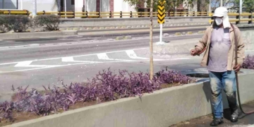 Ingreso Solidario: ¿Quiénes y cuándo reciben el pago este 22 de febrero?