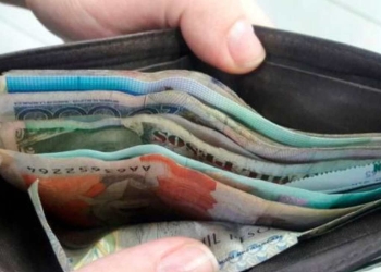 ¿En julio y agosto pagarán el Ingreso Solidario?