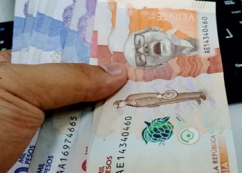¿Ingreso Solidario es la misma renta básica de emergencia?