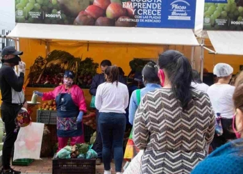 Ingreso Solidario: ¿No está en la Fase II de pagos pendientes?
