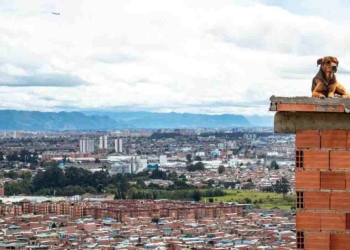 ¿Al fin cómo quedó el pago del Ingreso Solidario de abril?