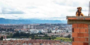 ¿Al fin cómo quedó el pago del Ingreso Solidario de abril?