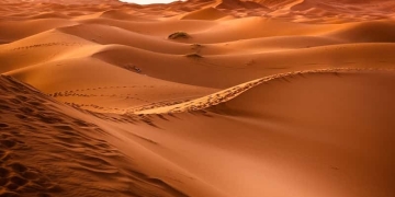 De esta manera se forman los desiertos en el mundo