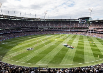 Campo de cricket