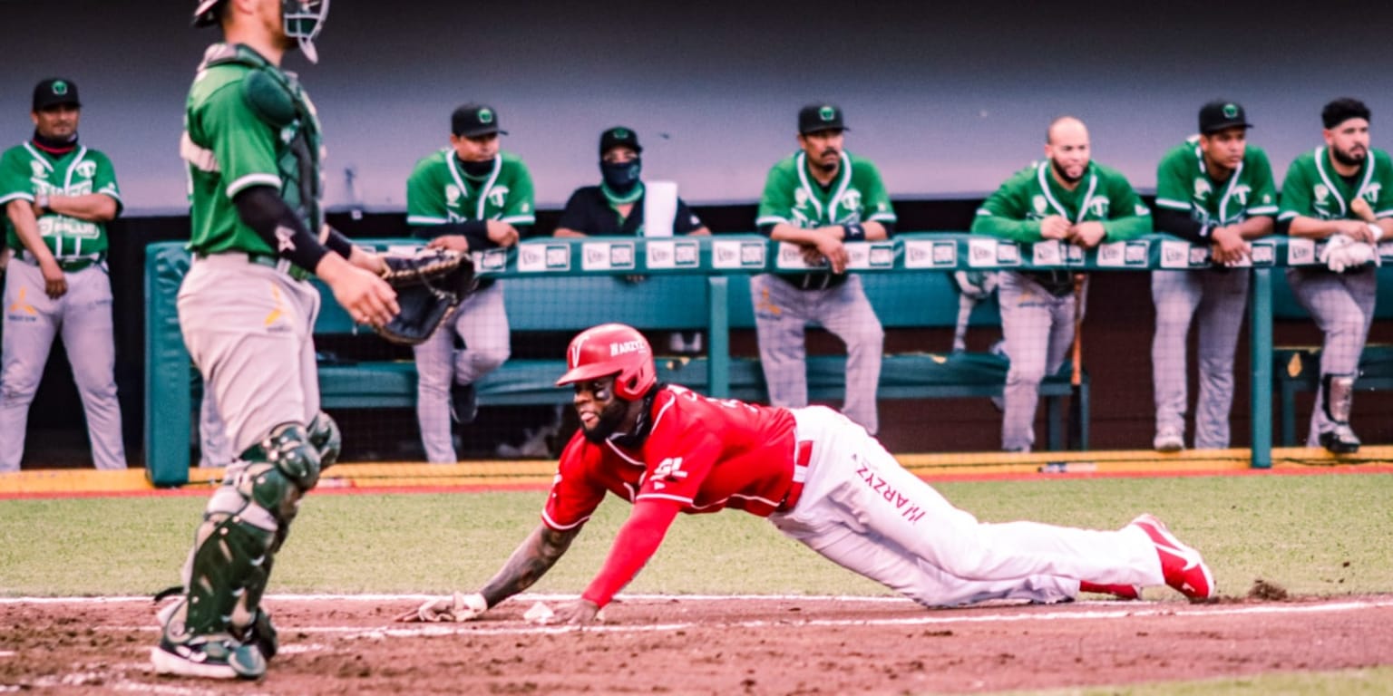 Foto tomada de: Minor League Baseball