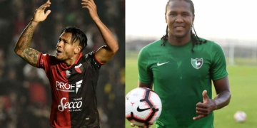 ¿Qué dice Tulio Gómez sobre Hugo Rodallega y Wilson Morelo