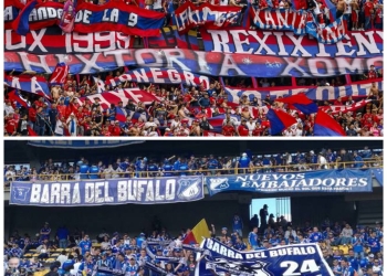 Hinchas del DIM y Millonarios se encontraron en carretera y... ¡Se agarraron!