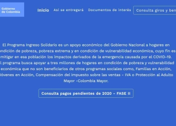 Ingreso Solidario: Link de consulta pagos pendientes Fase II