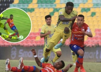 pasto Bucaramanga