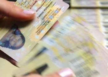 Ingreso Solidario: ¿Hay un link para consultar con la cédula en Gov.co?