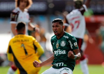 palmeiras campeon copa libertadores