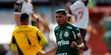 palmeiras campeon copa libertadores