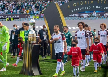 Copa Libertadores: Repercusión de la final en Twitter