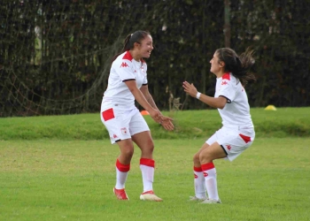 Las 'Leonas'