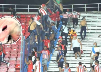 La lamentable agresión a un hincha de América en el Metropolitano
