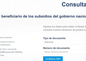 ¿Cómo consultar en SURED por el pago del Ingreso Solidario?